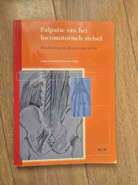 9789033462580-Palpatie-van-het-locomotorisch-stelsel