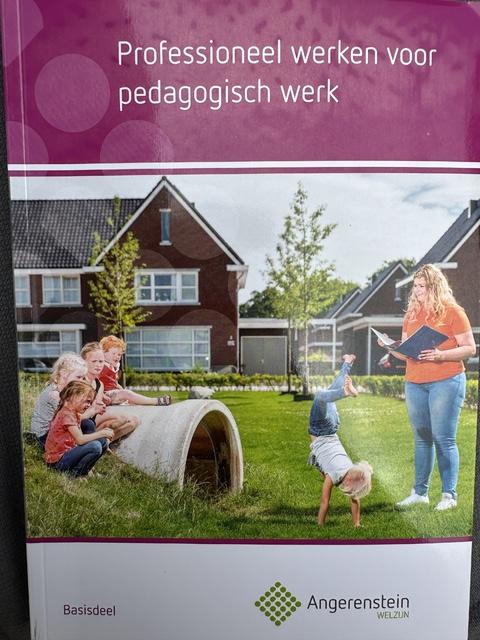 9789037244069-Professioneel-werken-voor-pedagogisch-werk-Basisdeel