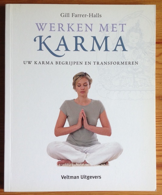 9789059208070-Werken-met-karma