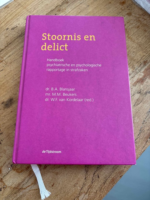 9789058981424-Stoornis-en-delict
