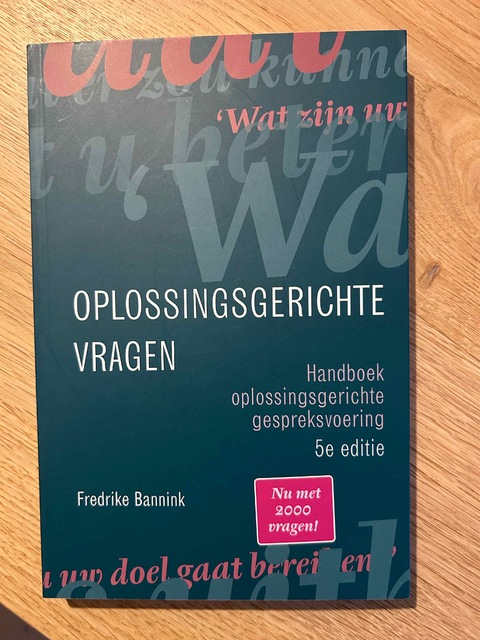 9789043043137-Oplossingsgerichte-vragen