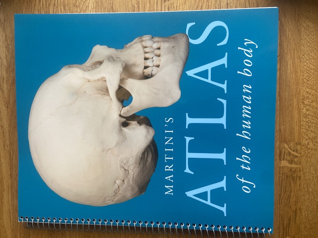 9780321940728-Martinis-Atlas-of-the-Human-Body