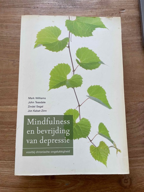 9789057122491-Mindfulness-en-bevrijding-van-depressie