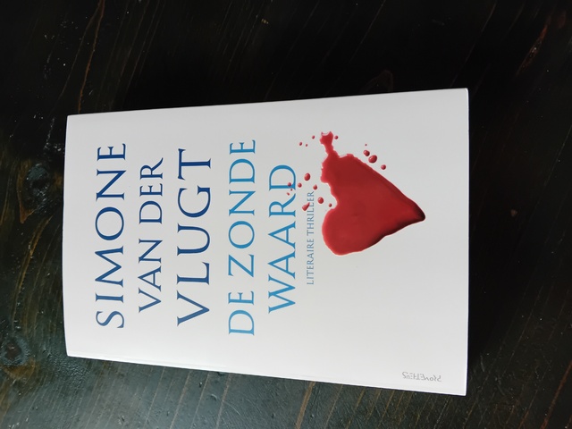 9789044645453-De-zonde-waard