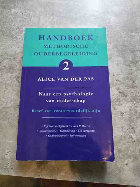 9789066657816-Handboek-Methodische-Ouderbegeleiding-2-naar-een-psychologie-van-ouderschap