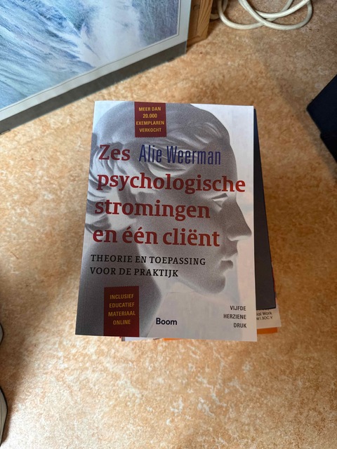 9789024402465-Zes-psychologische-stromingen-en-een-client