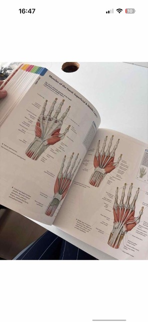 9781604067453-Atlas-of-Anatomy