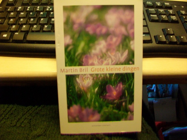 9789025401146-Grote-kleine-dingen-en-andersom