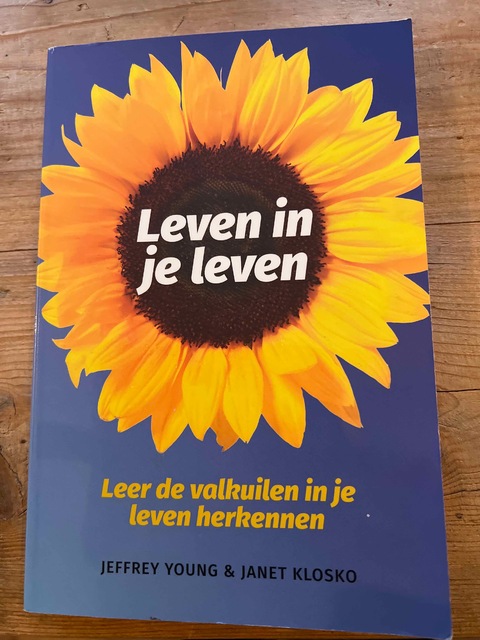 9789026515699-Leven-in-je-leven