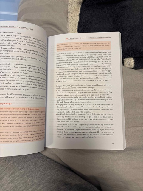 9789046907108-Opvoedingsondersteuning-als-bijzondere-vorm-van-preventie