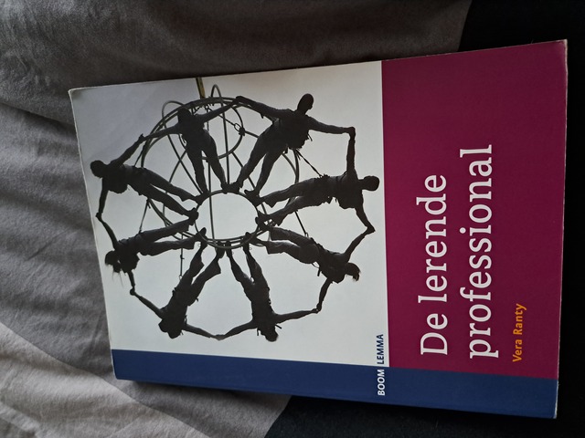 9789047300595-De-lerende-professional