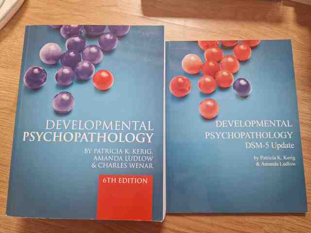 9780077131210-Developmental-Psychopathology-From-Infancy-through-Adolescence