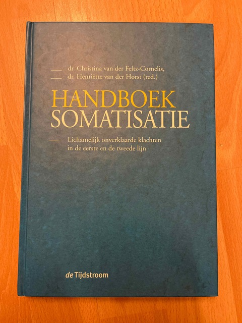 9789058980366-Handboek-Somatisatie