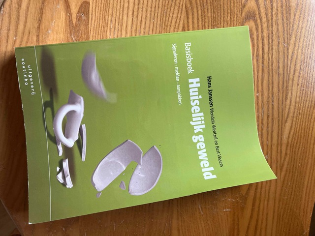 9789046904770-Basisboek-huiselijk-geweld
