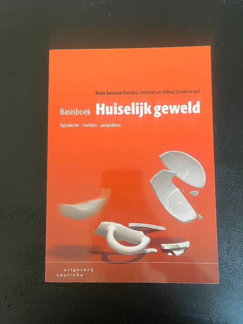 9789046906576-Basisboek-huiselijk-geweld