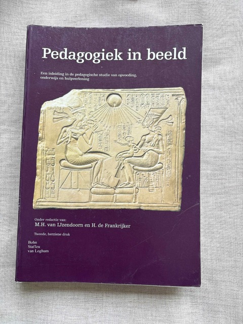 9789031346158-Pedagogiek-in-beeld