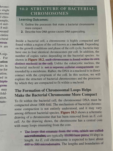 9781260571226-ISE-Genetics-Analysis-and-Principles
