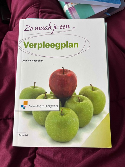 9789001804961-Zo-maak-je-een-verpleegplan