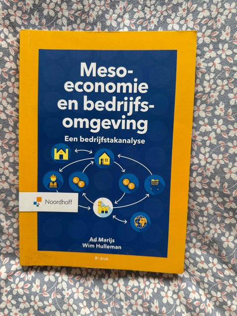 9789001010584-Meso-economie-en-bedrijfsomgeving