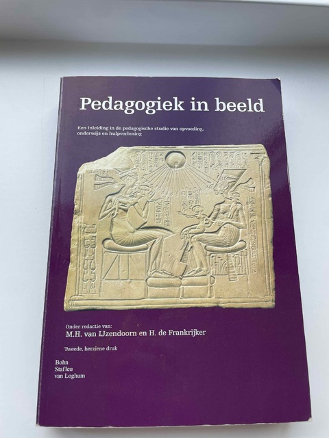 9789031346158-Pedagogiek-in-beeld