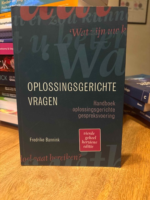 9789043036566-Oplossingsgerichte-vragen
