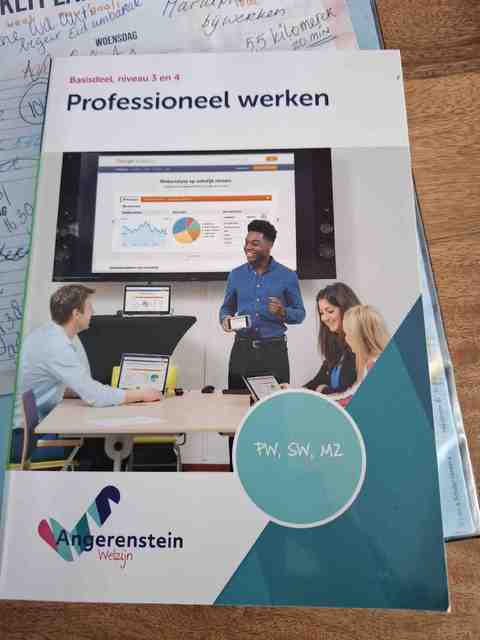 9789037223637-Professioneel-werken