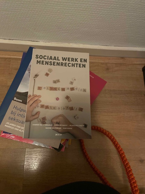 9789463441247-Sociaal-werk-en-mensenrechten
