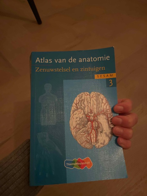 9789006952339-Atlas-van-de-anatomie-3-Zenuwstelsel-en-zintuigen
