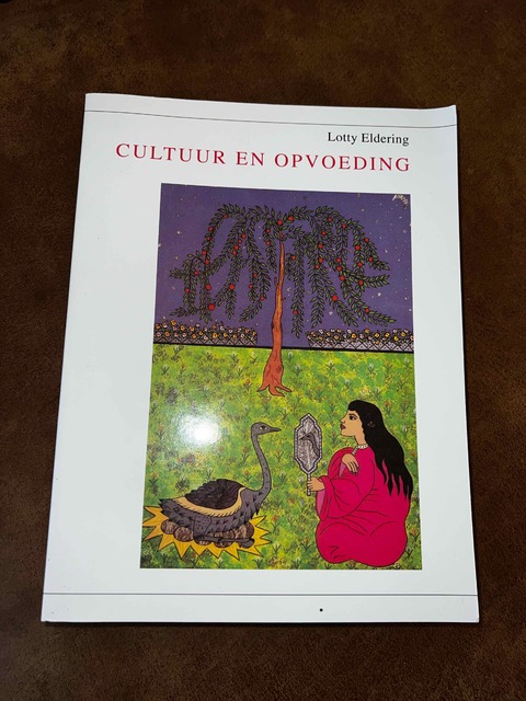 9789047704164-Cultuur-en-opvoeding