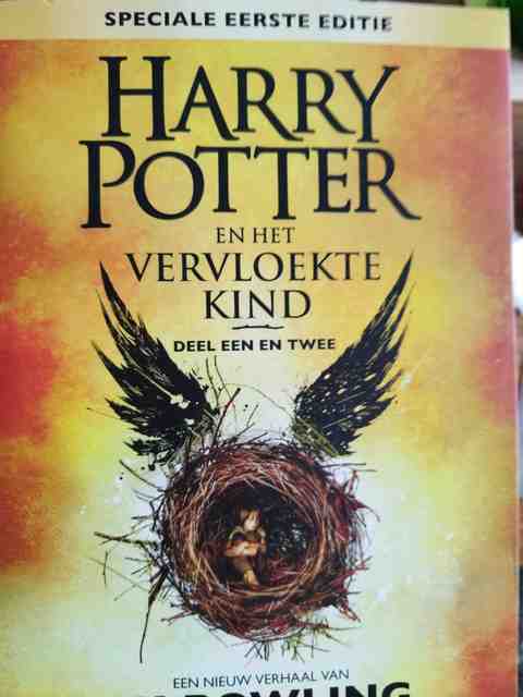 9789076174945-Harry-Potter-en-het-vervloekte-kind-Deel-een-en-twee