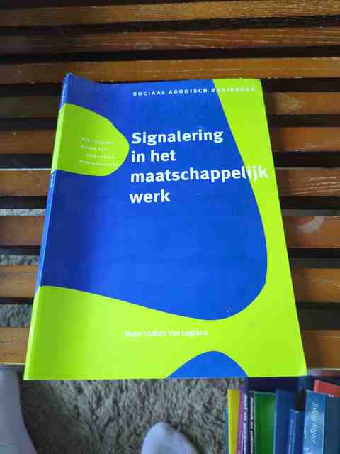9789031321001-Signalering-in-het-maatschappelijk-werk