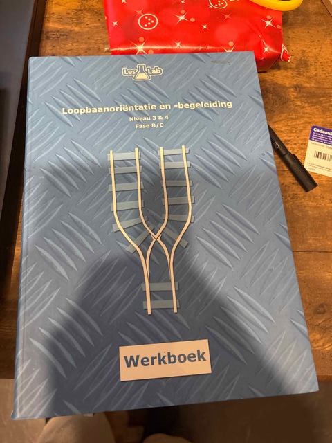 9789492667045-Loopbaanorientatie-en-begeleiding-niveau-3-4-Fase-B-Werkboek