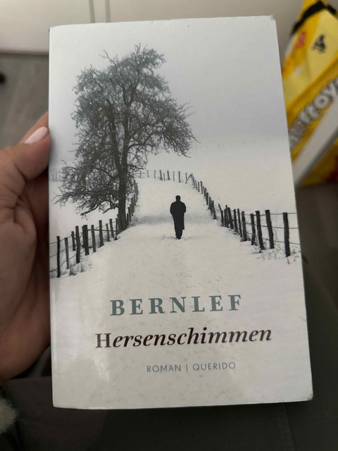 9789021440132-Hersenschimmen
