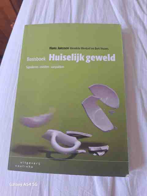 9789046904770-Basisboek-huiselijk-geweld