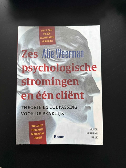 9789024402465-Zes-psychologische-stromingen-en-een-client