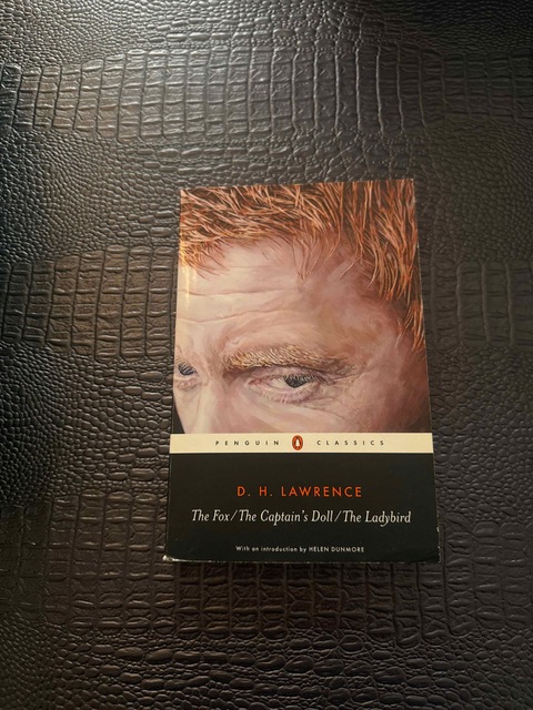 9780141441832-The-Fox-The-Captains-Doll-The-Ladybird