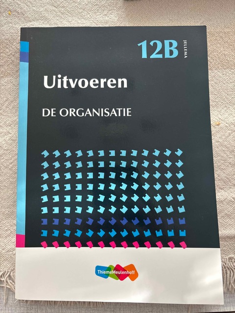 9789006951776-Jellema-12B-Uitvoeren-De-organisatie