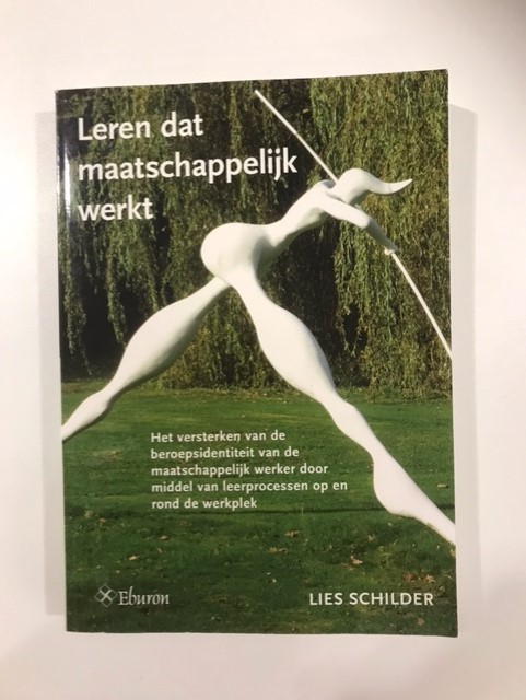 9789059727168-Leren-dat-maatschappelijk-werkt