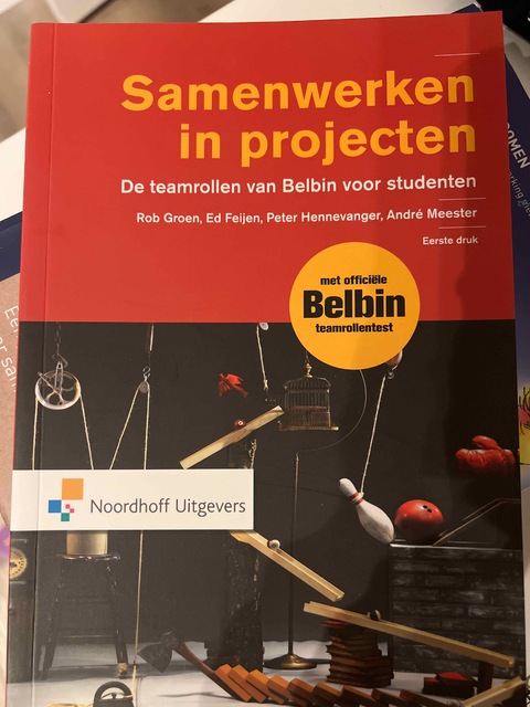 9789001850180-Samenwerken-in-projecten