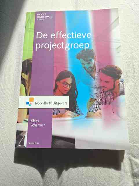 9789001866297-De-effectieve-projectgroep