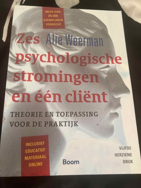 9789024402465-Zes-psychologische-stromingen-en-een-client