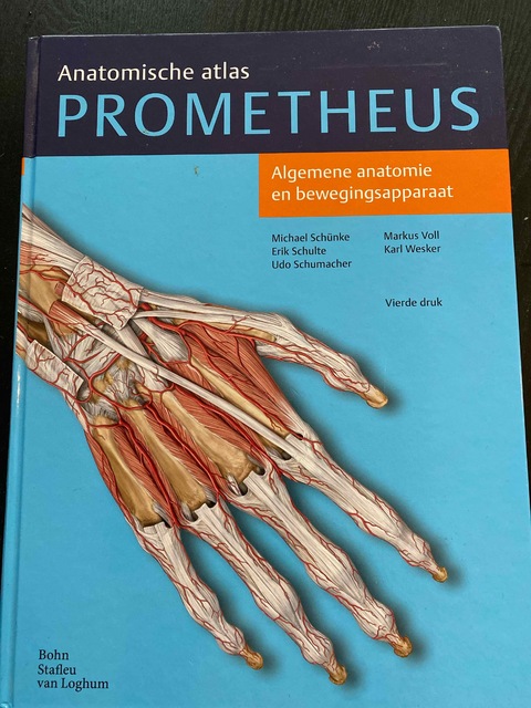 9789036815383-Algemene-anatomie-en-bewegingsapparaat