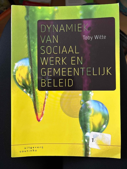 9789046906873-Dynamiek-van-sociaal-werk-en-gemeentelijk-beleid