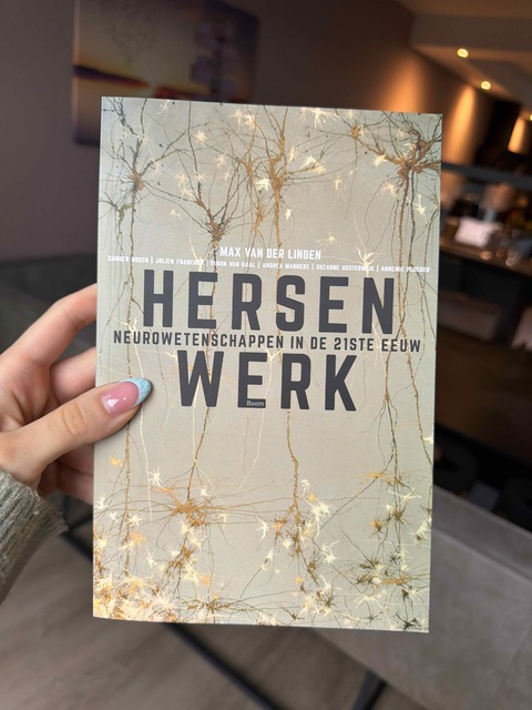 9789058758675-Hersenwerk