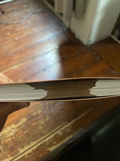 9789001891589-Projectmanagement