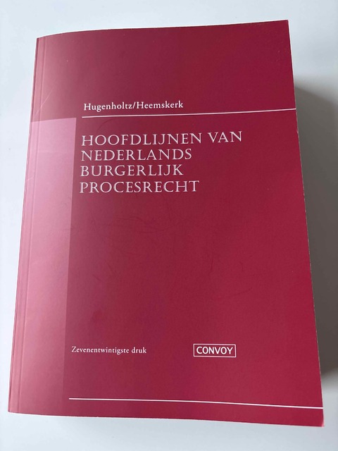 9789463174145-Hoofdlijnen-van-Nederlands-burgerlijk-procesrecht