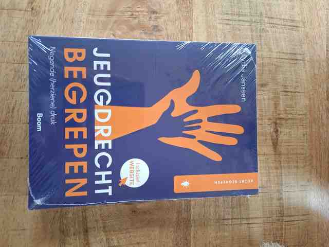 9789462129016-Jeugdrecht-begrepen