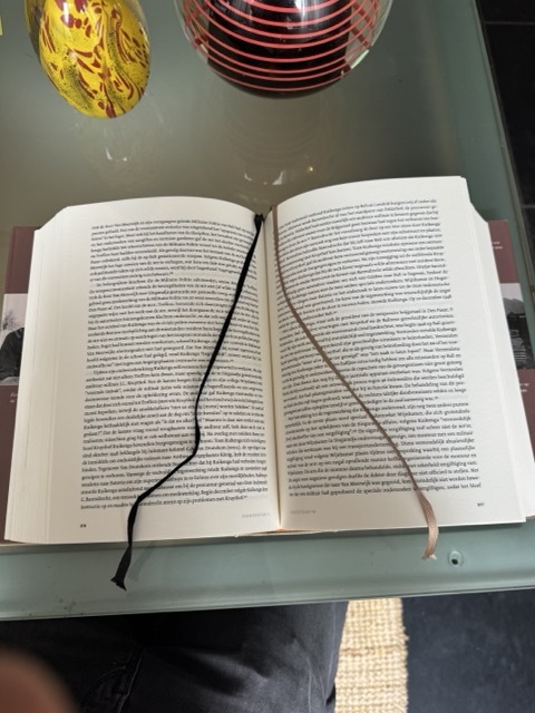 9789089539502-De-brandende-kampongs-van-Generaal-Spoor