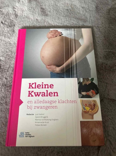 9789036824064-Kleine-Kwalen-en-alledaagse-klachten-bij-zwangeren