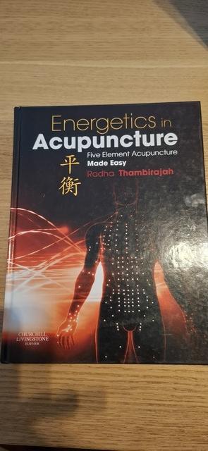 9780702034138-Energetics-In-Acupuncture